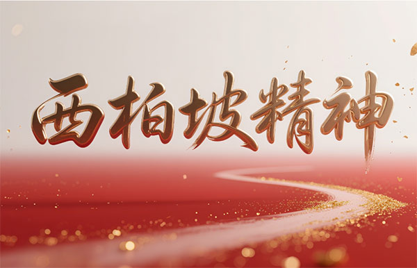 西柏坡干部培训学院