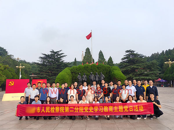 市人民检察院第二分院党史学习教育主题党日活动